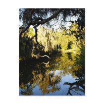 River Runs Past Postcard