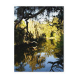 River Runs Past Postcard