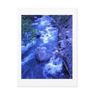 River Runs Wild Post Card
