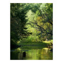 River Scene posters by dduhaime55 River Scene posters