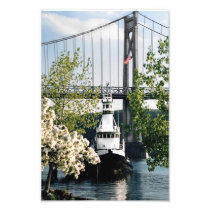 River Spring Scene Photograph