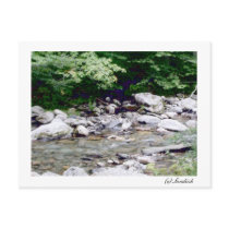 River Stones, (c)Sandiish postcards