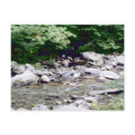 River Stones