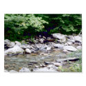 River Stones posters