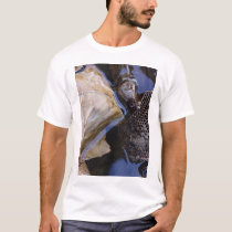 river talk t-shirts
