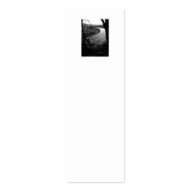 River Taw. Black and White. Business Card Templates