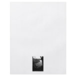 River Taw. Black and White. Custom Flyer