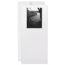 River Taw. Black and White. Custom Rack Card
