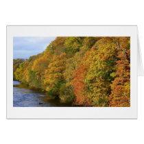 River Tees in Autumn Cards