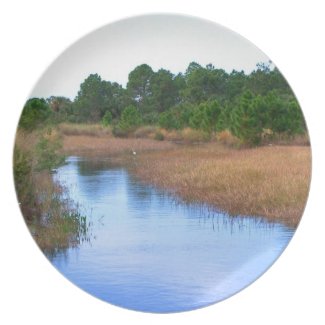 River through marshland savannah swamp picture plate