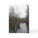 River Through the Wilderness card