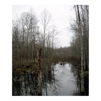 River Through the Wilderness print