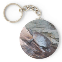 River Turtle Keychains