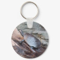 River Turtle keychains