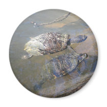 River Turtles Magnet