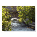 River Walk Bridge posters