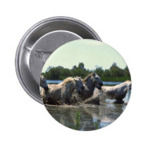 River Walking Horses buttons