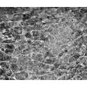 River Water Ripples