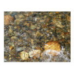River-Worn Pebbles Nature Postcard