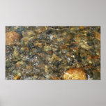 River-Worn Pebbles Print