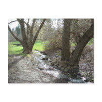Riverbank postcards
