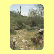 Riverbed Remembrance Decorative Desert Magnet magnets