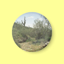 Riverbed Remembrance Desert Refrigerator Magnet magnets