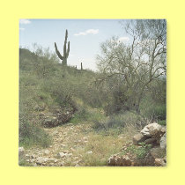Riverbed Remembrance Desert Refrigerator Magnet magnets