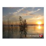 Riverkeeper Postcard