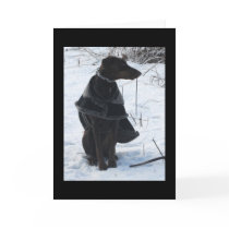 River's Snow Portrait cards by RiverDeer River's Snow Portrait cards