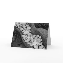 RiverTree Cards