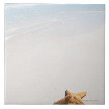 Riviera Maya Ceramic Tile