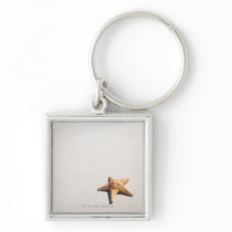Riviera Maya Key Chains
