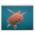 tulum, vacation, rentals, akumal, xcacel, beach,