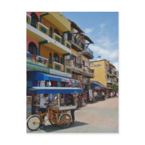 Riviera Maya (Playa del Carmen) postcards by travelfreak Riviera Maya (Playa del Carmen) postcards
