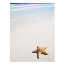 Riviera Maya Post Card