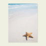 Riviera Maya Post Card