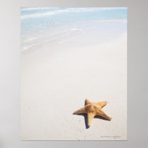 Riviera Maya Posters