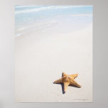 Riviera Maya Posters