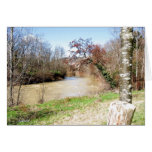 Rivière cards