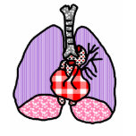 Riyah-Li Designs Heart & Lungs t-shirts