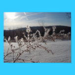 rning Frost posters