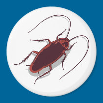 Roach! magnets