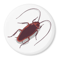Roach! magnets by VectorSmith Roach! magnets