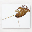 Roach mousepads