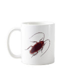 Roach mugs