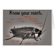 RoachWear Greeting Card