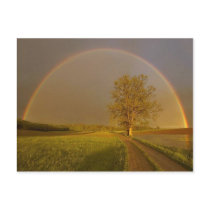 road ahead - nature scenic postcards