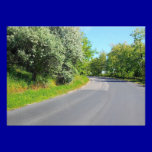 ROAD CURVE FOREST 1328 PHOTOGRAPHY NATURE TRAVEL invitations