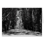 Road In A Park Greeting Card,Note Card